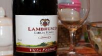 Il Lambrusco: un vanto per l'Italia