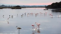 La laguna di Orbetello: un luogo di incantevole bellezza