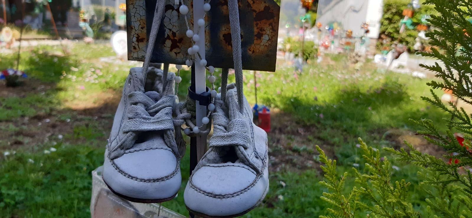 Il Monumentale di Bergamo “Portami dove si vola” in un viaggio nel vento Hermesmagazine