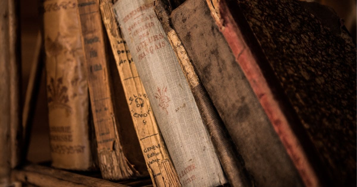 L'insetto che ama i libri: scopriamo di più