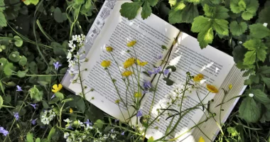 La playlist perfetta per leggere