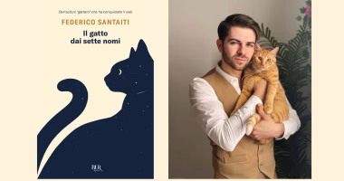 il gatto