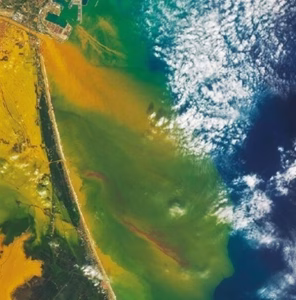 La mostra "Mediterranea" al MAXXI