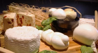 Tenuta del Lago: il caseificio a filiera chiusa nel cuore della Food Valley campana