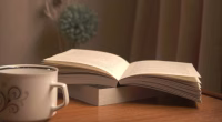 #BookTok Bestseller List: i libri preferiti su TikTok