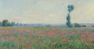 L'evoluzione dell'arte