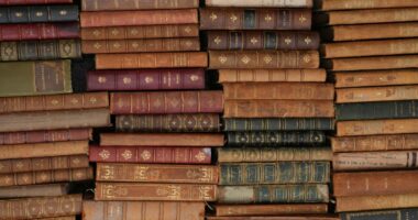 Anne Carson, Premio Nobel per la letteratura 2026